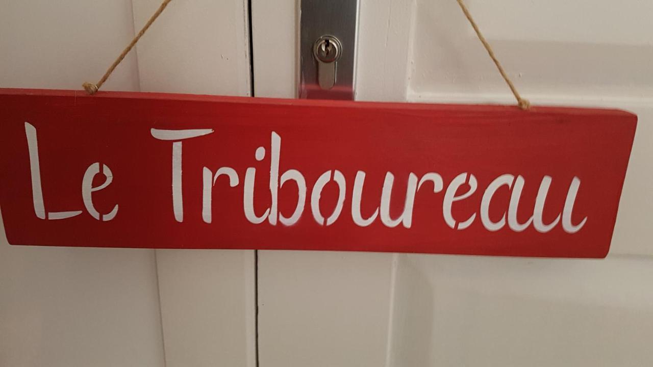 Bed and Breakfast Le Triboureau Экоссинн-д'Ангьен Экстерьер фото
