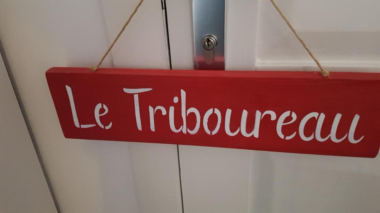 Bed and Breakfast Le Triboureau Экоссинн-д'Ангьен Экстерьер фото